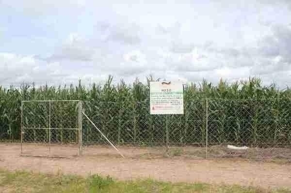 Environmental Conservation