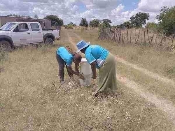 MASO Health Services