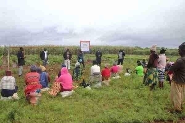 MASO Environmental Project